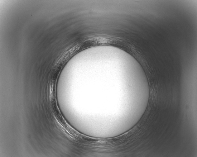 X0000086260406200703291108