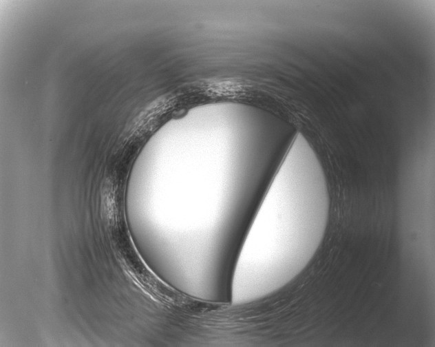 X0000086260408200703291108