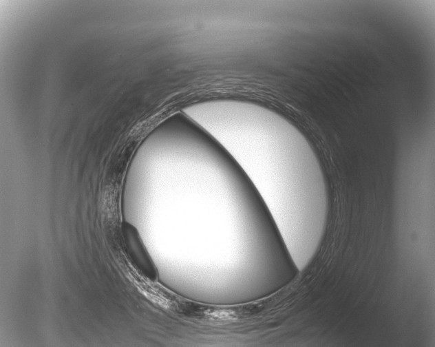 X0000086260409200703291108
