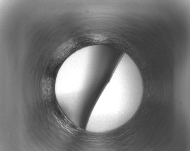 X0000086260412200703291108