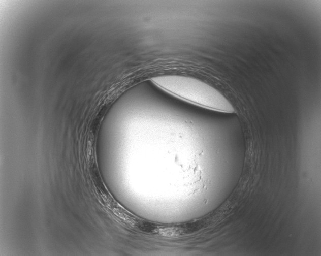 X0000086260417200703291108
