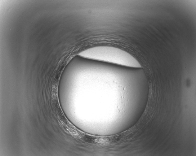 X0000086260419200703291108