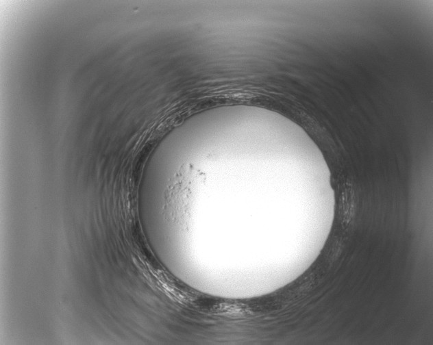 X0000086260424200703291107