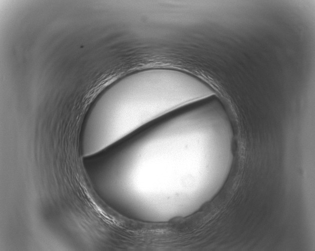 X0000086260433200703291106
