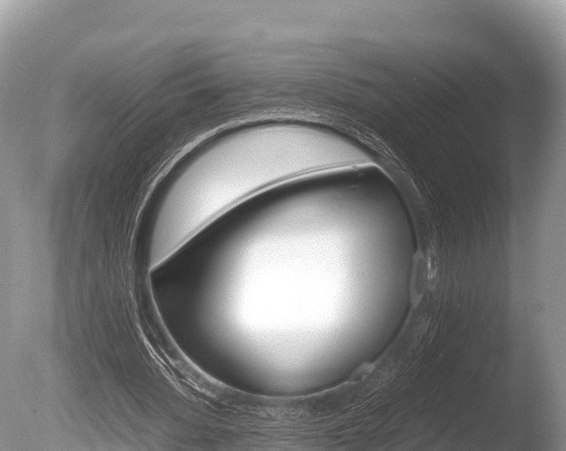 X0000086260436200703291107