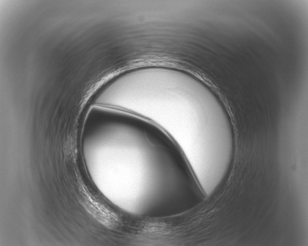 X0000086260438200703291107