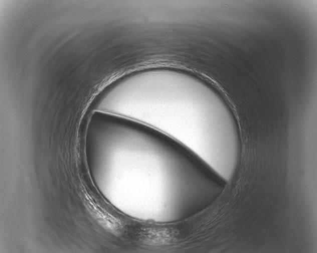 X0000086260439200703291107