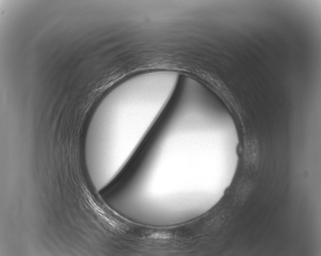 X0000086260441200703291107