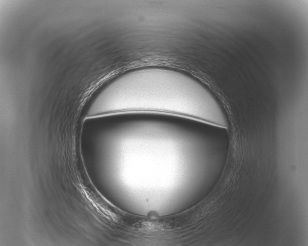 X0000086260442200703291107