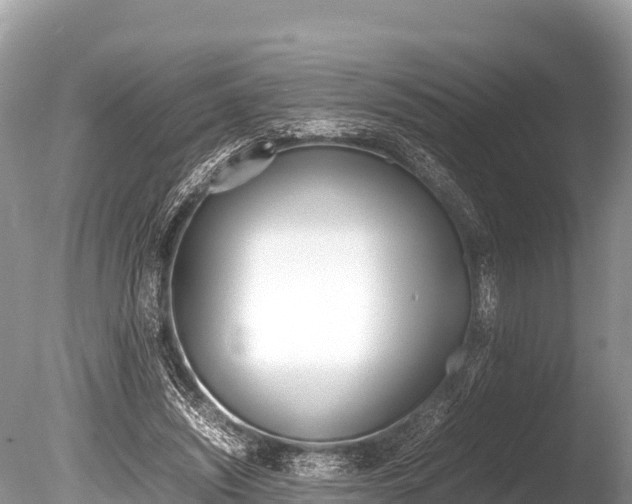 X0000086260444200703291107