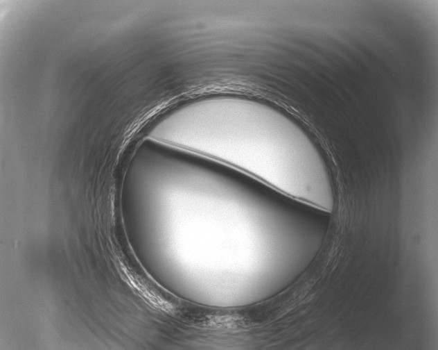 X0000086260446200703291107