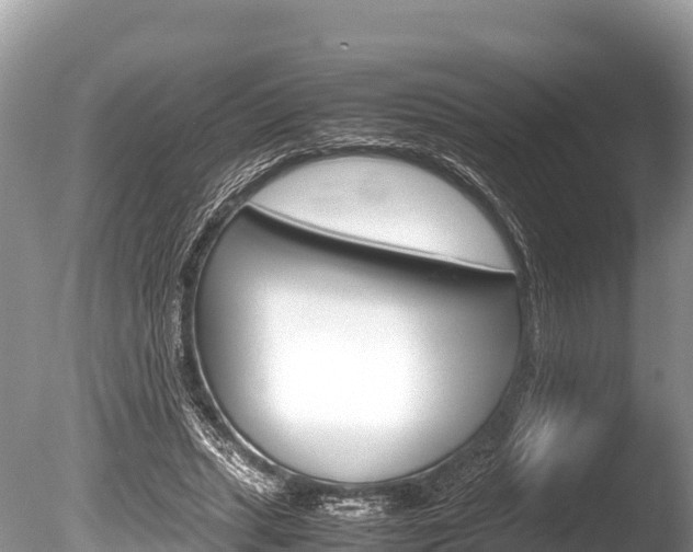 X0000086260447200703291107