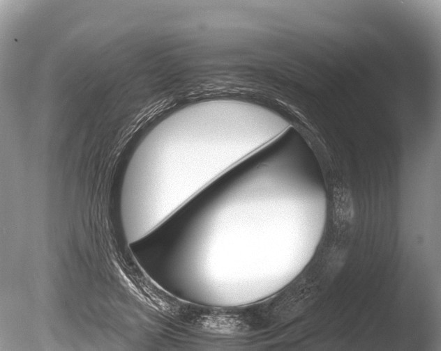 X0000086260451200703291107