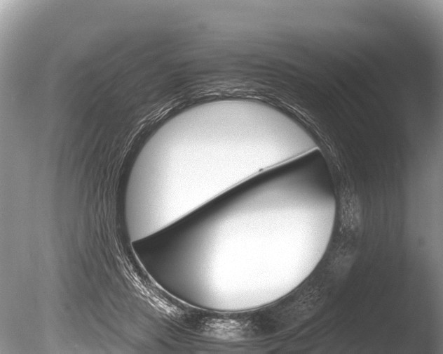 X0000086260453200703291107