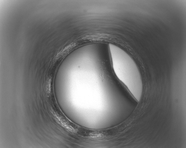 X0000086260454200703291107
