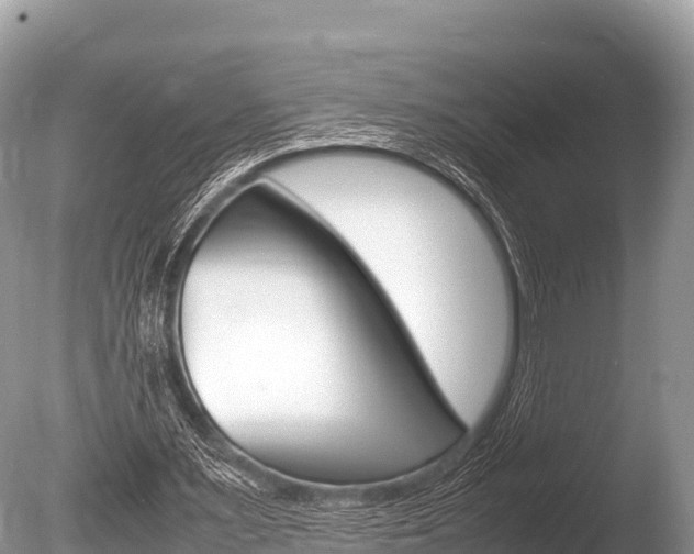 X0000086260483200703291106
