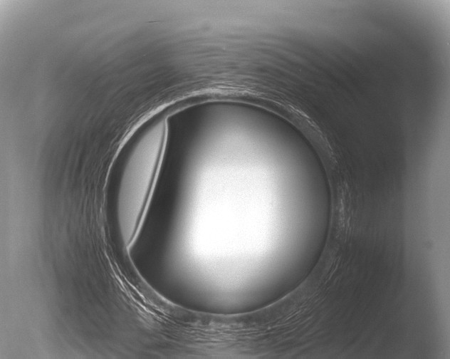 X0000086260484200703291106