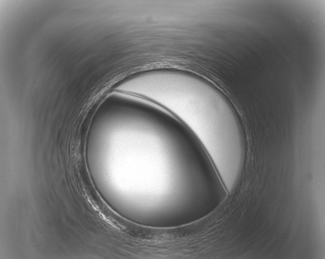 X0000086260485200703291106