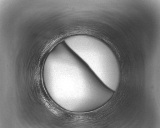 X0000086260486200703291106