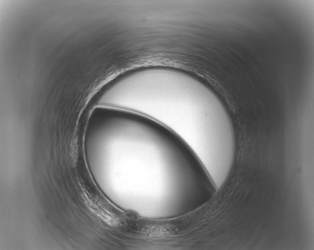 X0000086260488200703291106