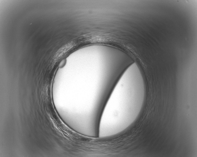 X0000086260491200703291106