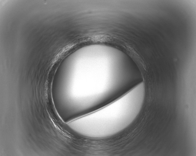 X0000086260492200703291106
