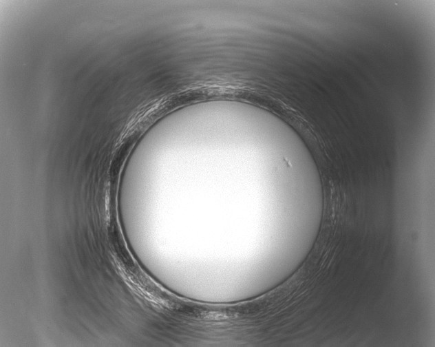 X0000086260494200703291106