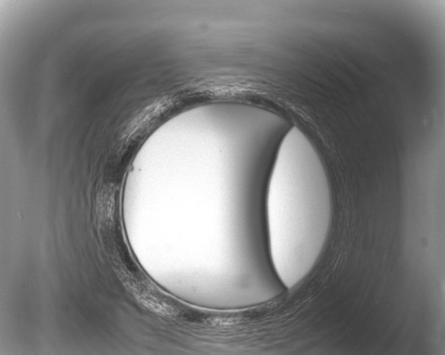 X0000086260495200703291106