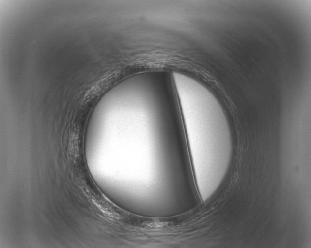 X0000086260497200703291106