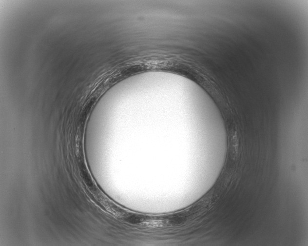 X0000086260499200703291106