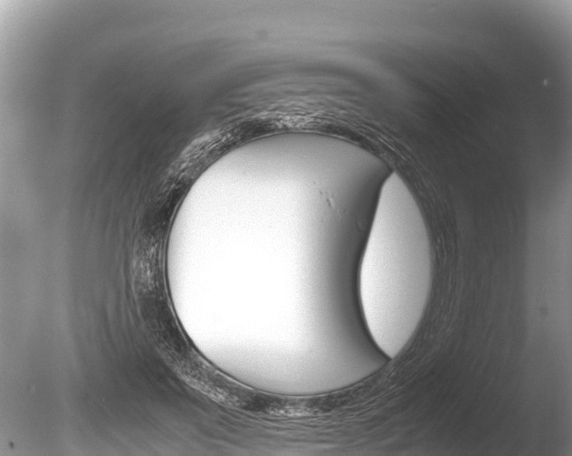 X0000086260503200703291106