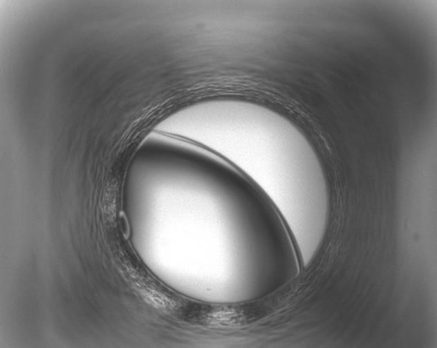 X0000086260505200703291106