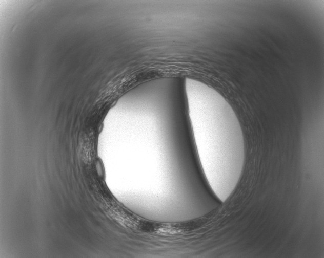 X0000086260515200703291106