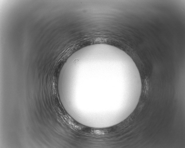 X0000086260522200703291106