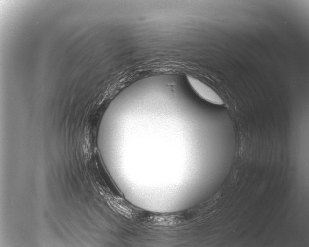 X0000086260524200703291106
