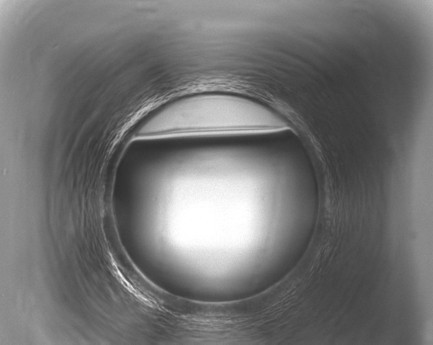 X0000086260530200703291105