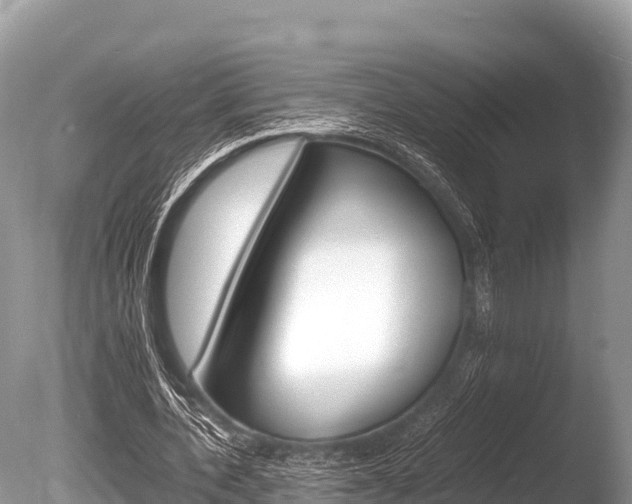 X0000086260532200703291105