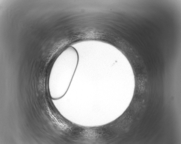 X0000086260534200703291105