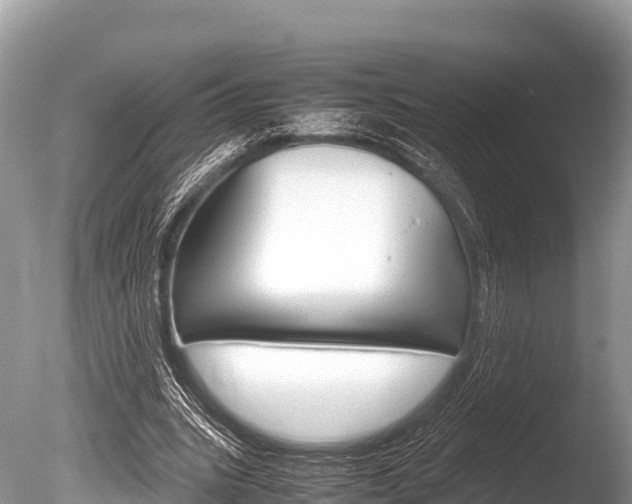 X0000086260535200703291105