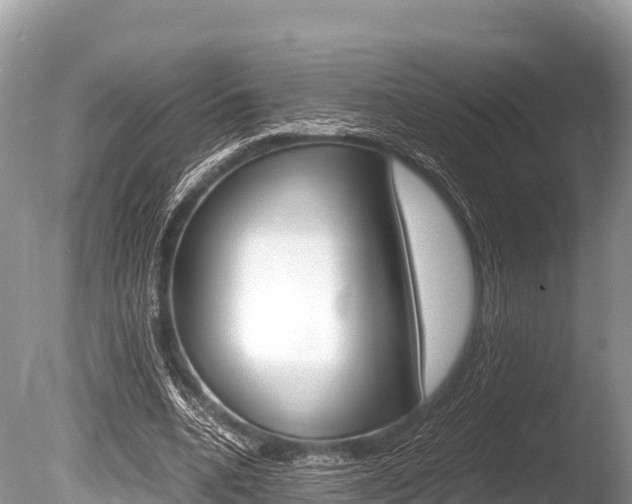 X0000086260536200703291105