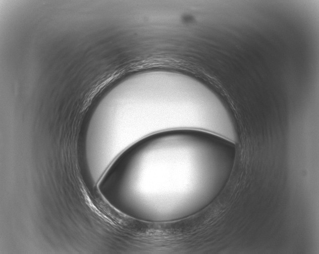 X0000086260538200703291105