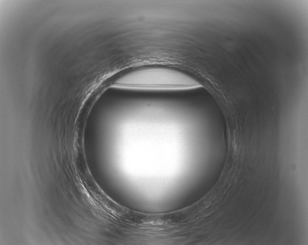 X0000086260540200703291105