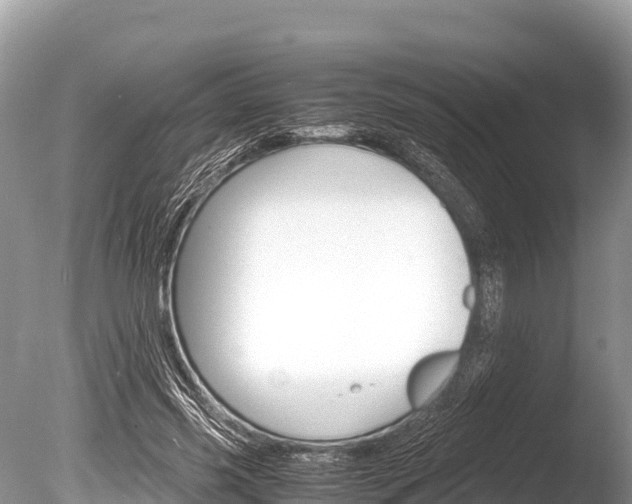 X0000086260541200703291105