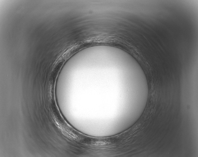 X0000086260542200703291105