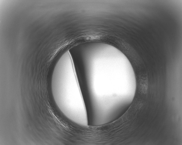 X0000086260543200703291105