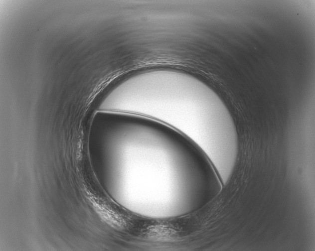 X0000086260544200703291105