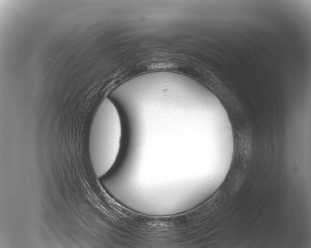 X0000086260549200703291105