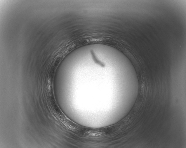 X0000086260555200703291105