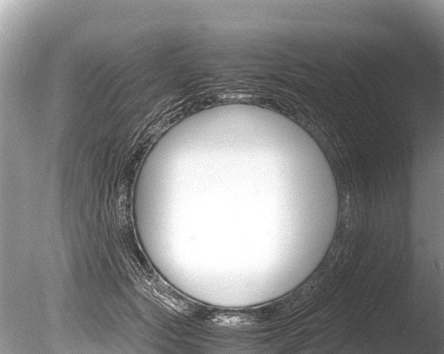 X0000086260557200703291105