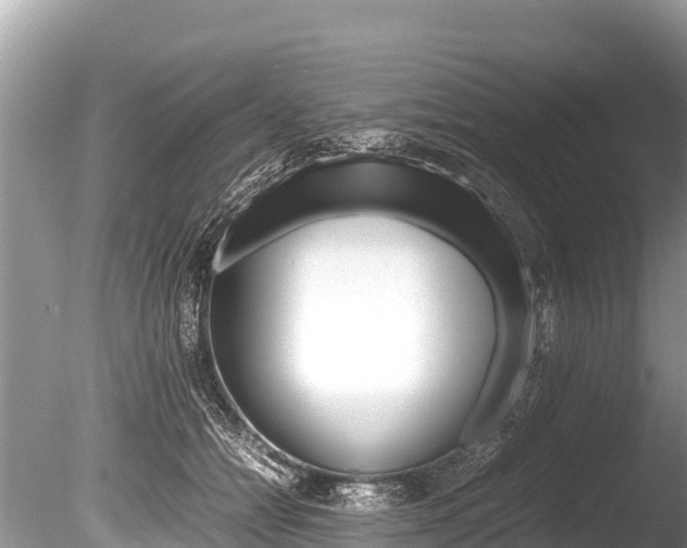 X0000086260558200703291105